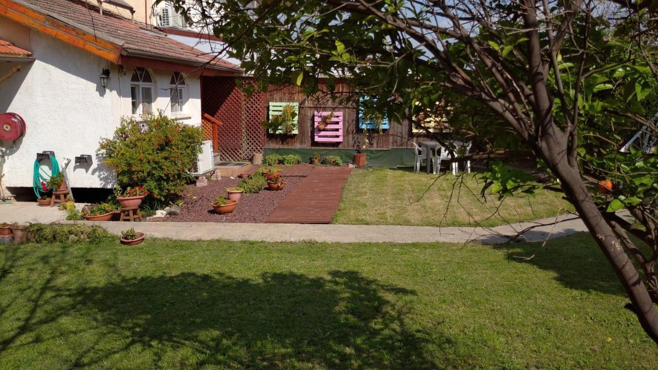 Jordan Valley One Room Apartment Menaẖemya Zewnętrze zdjęcie