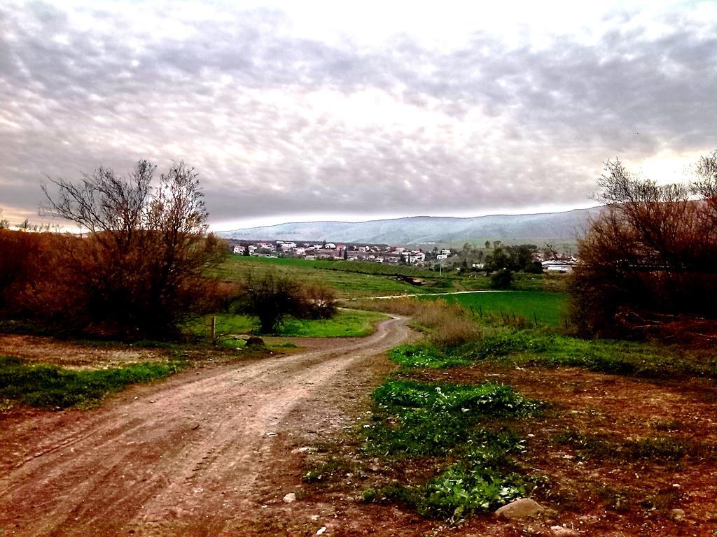 Jordan Valley One Room Apartment Menaẖemya Zewnętrze zdjęcie
